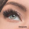ZEN MASCARA - Imagen 3